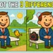 Spot the Difference