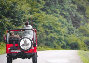 Sustainable Road Trip Habits That Actually Make a Difference