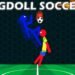 Ragdoll Soccer